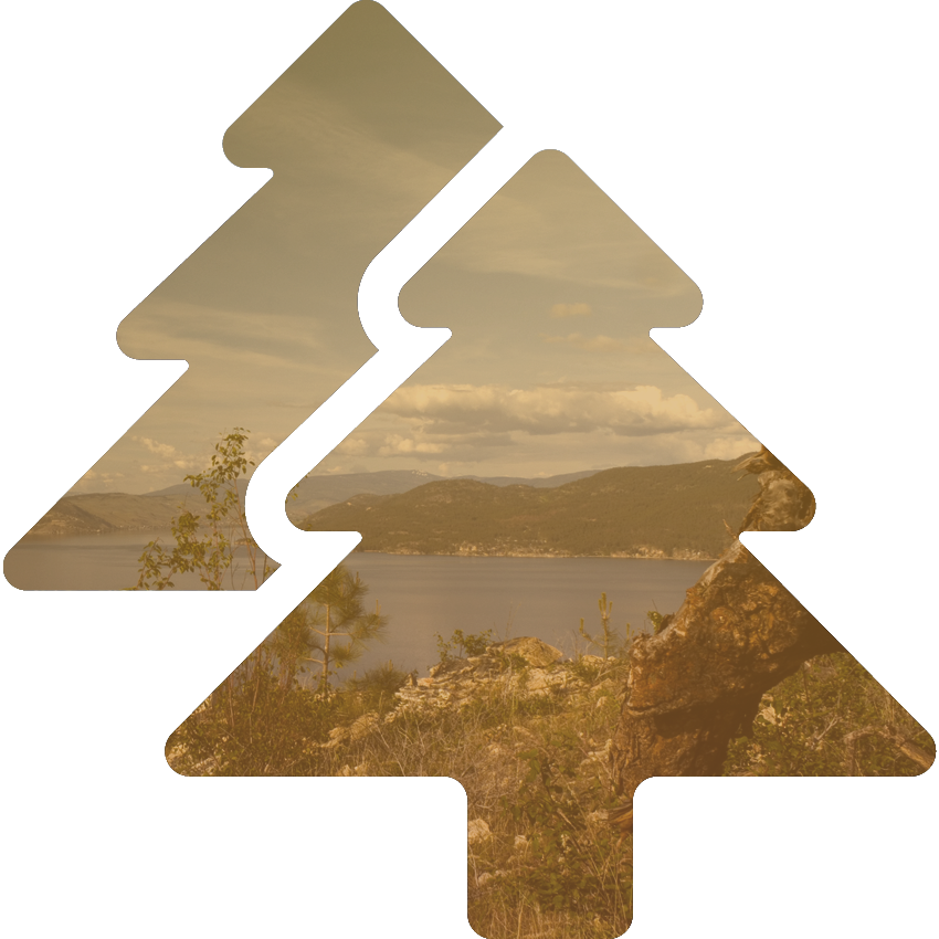 Community-Icon-Trees